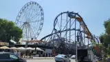 Джунгли парк в апартаментах «Va'lenti» г. Анапа